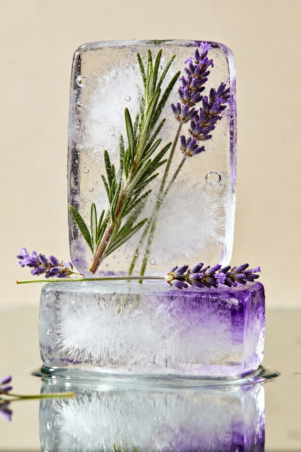 Fragrant Lavender